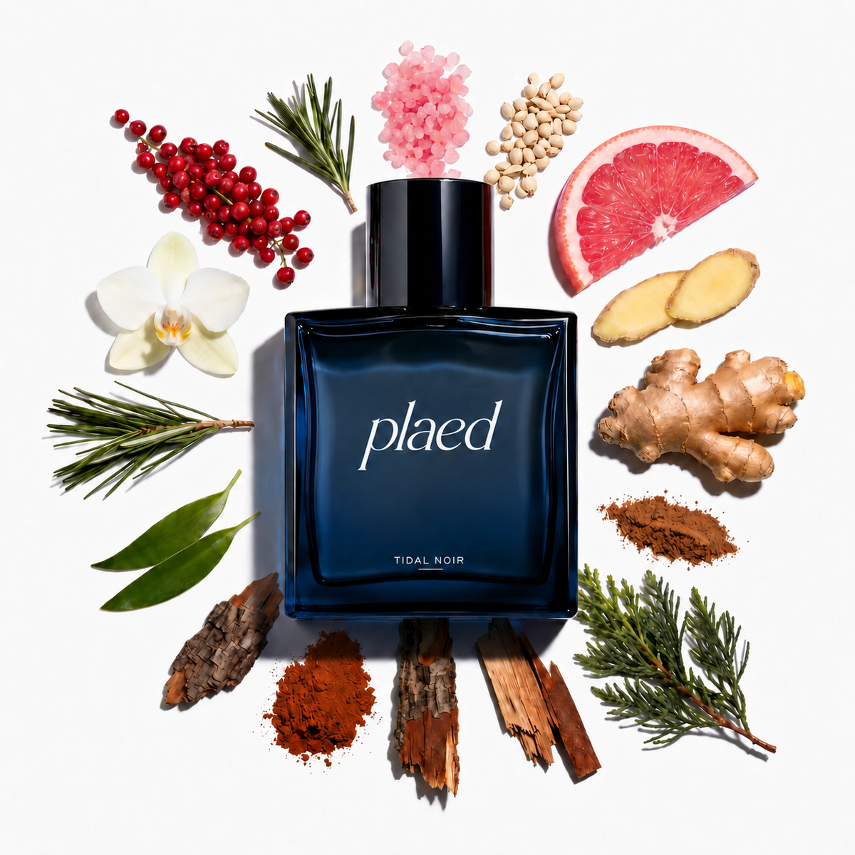 Plaed Tidal Noir