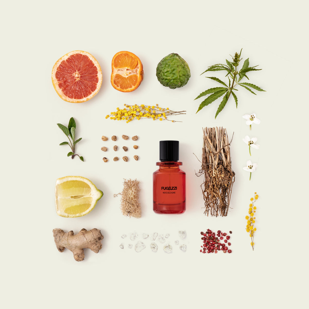 Nocologne 2ML